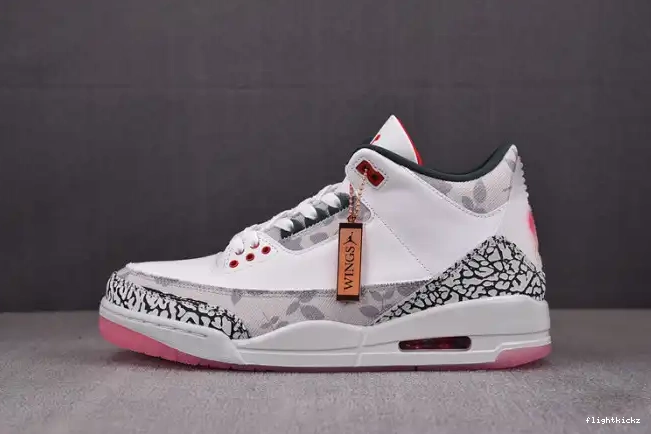 3 Wings HM6993-100 Jordan Retro 0530